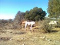 /album/fotogaleria-entorno-inicio/a3-jpg/