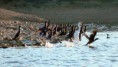 /album/fotogaleria-excursiones-inicio/c-jpg/