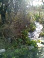 /album/fotogaleria-excursiones-inicio/j-jpg/